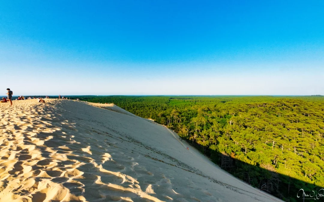 Évasion à la Dune du Pilat : sable, soleil et bonne humeur
