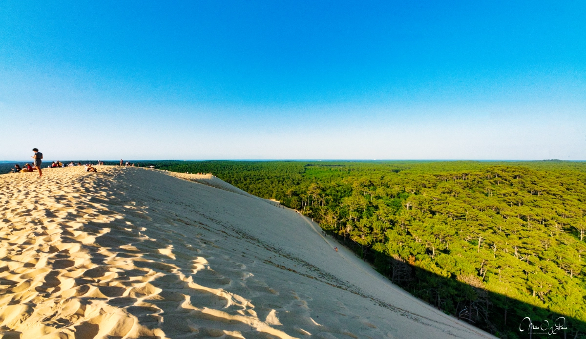 Évasion à la Dune du Pilat : sable, soleil et bonne humeur