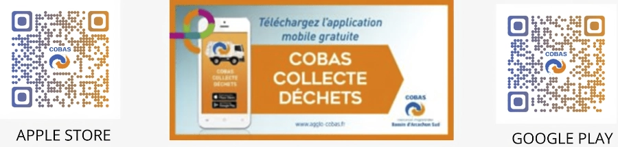 l'application COBAS