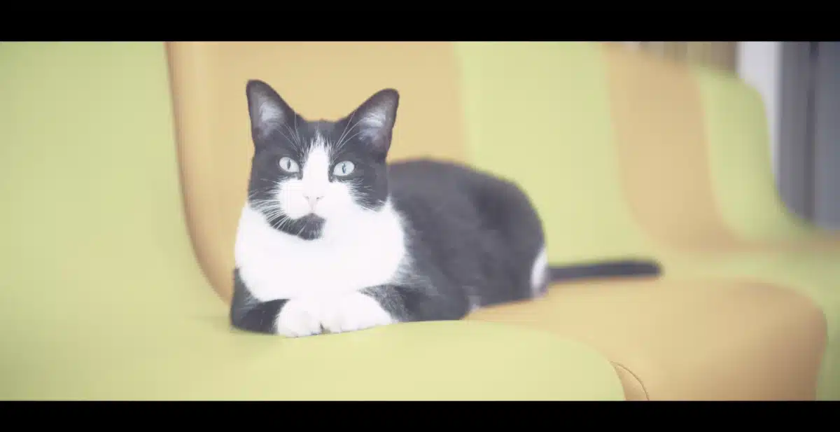 Mimie- 30 ans